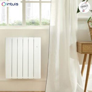 radiateur-fonte-noirot-beladoo-nativ-connecte-intuis-6.jpg