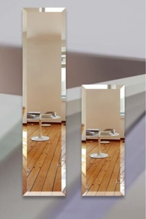 0001721_bizo-mirror.jpg