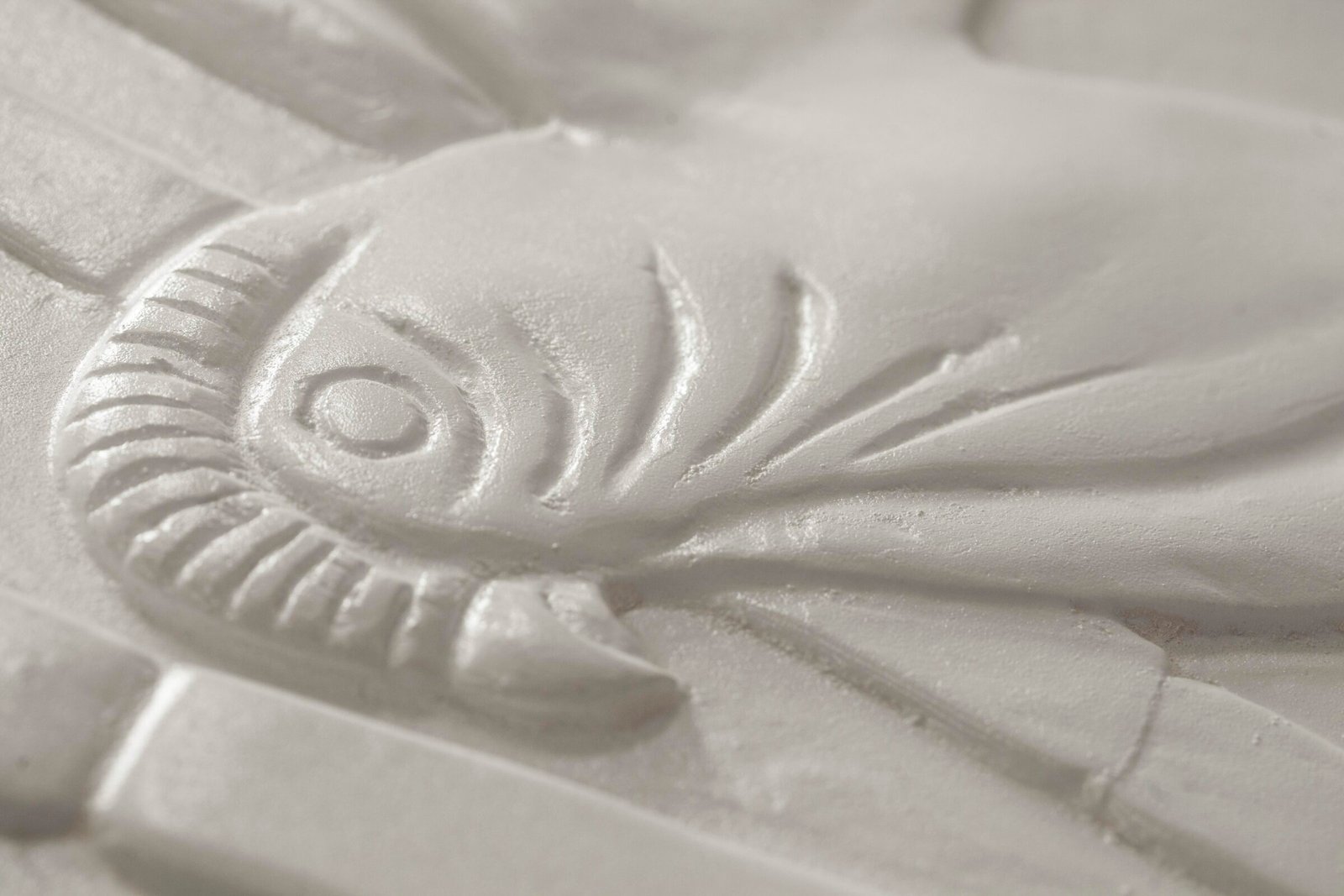 CINIER-ART-NOUVEAU-Detail-3-2400x1600-1.jpg