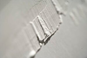 CINIER-Ashok-detail-2-2400x1600-1.jpg