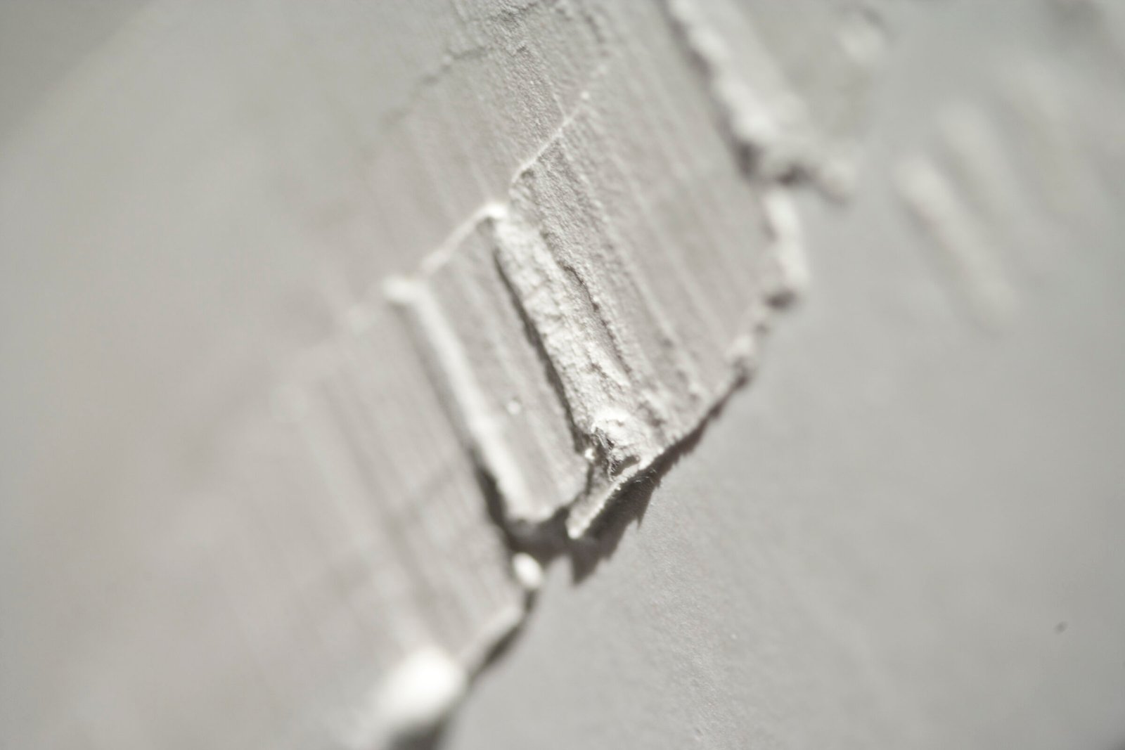 CINIER-Ashok-detail-2-2400x1600-1.jpg