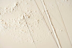 CINIER-Origine-ivoire-2-detail-2400x1600-2.jpg
