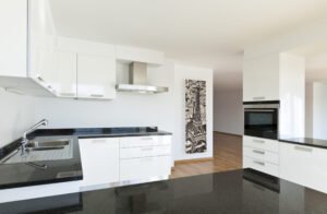 beautiful new apartment, interior, view of the kitchen