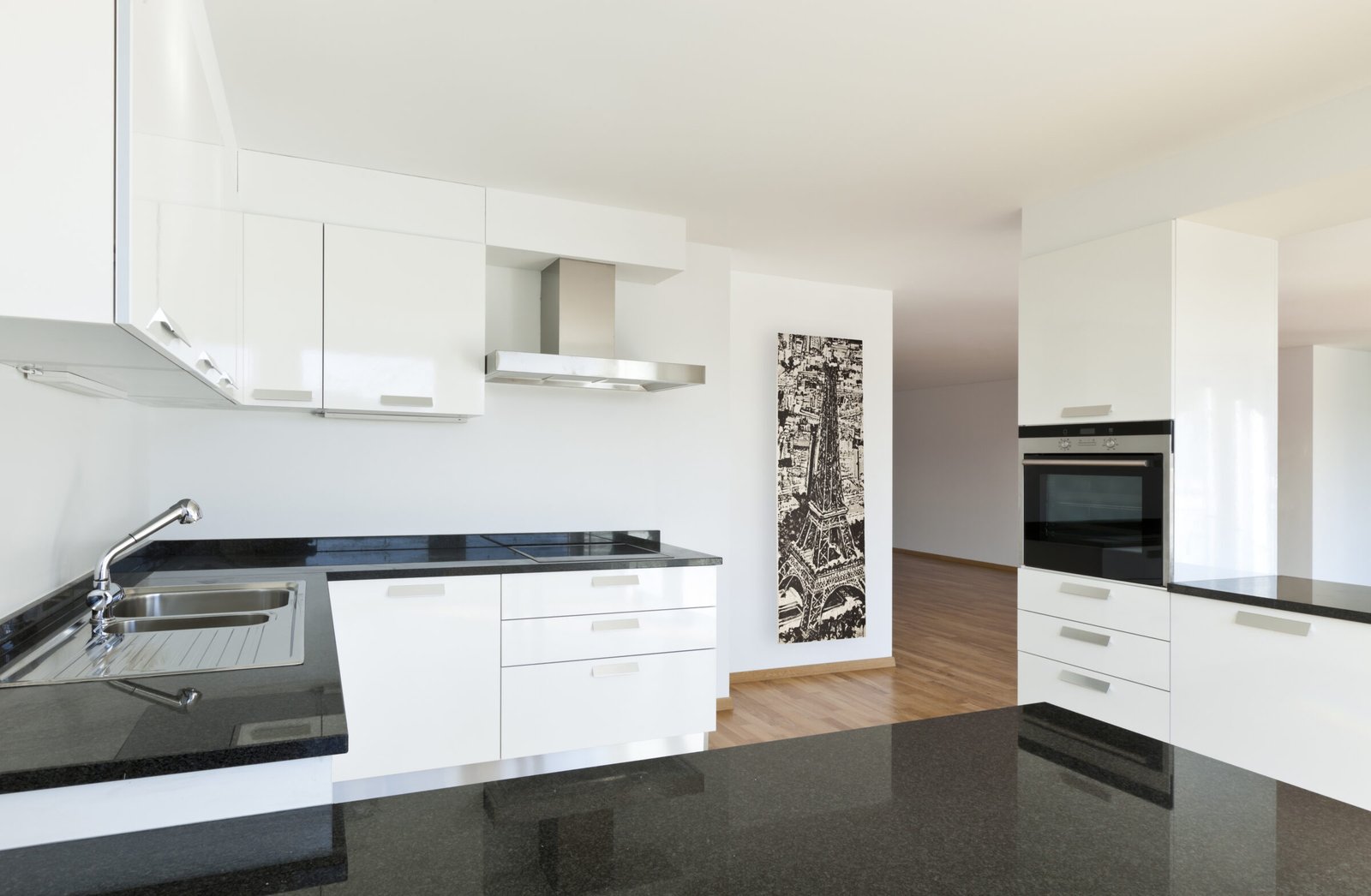 beautiful new apartment, interior, view of the kitchen