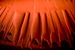 Detail-TRIBAL-2400x1600-1.jpg