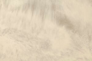 IMG_9350-2400x1600-1.jpg