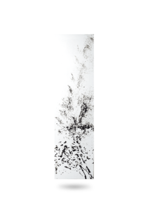 cotton-C-2400x1800-1350x1800-1.png