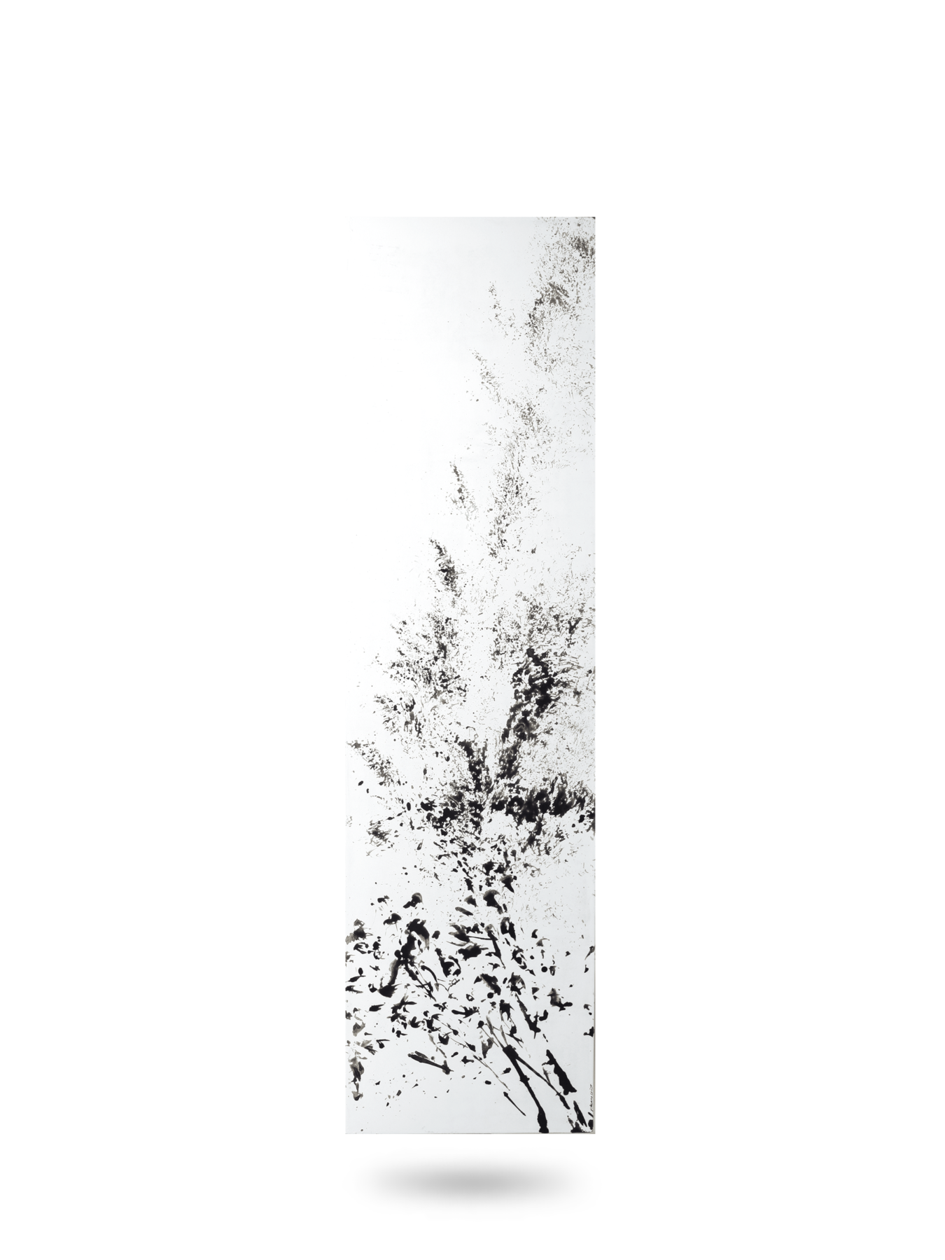 cotton-C-2400x1800-1350x1800-1.png