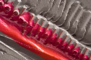 details-rosegrey-c-2400x1600-1.jpg