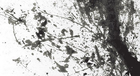 jzbc4xro.bmp