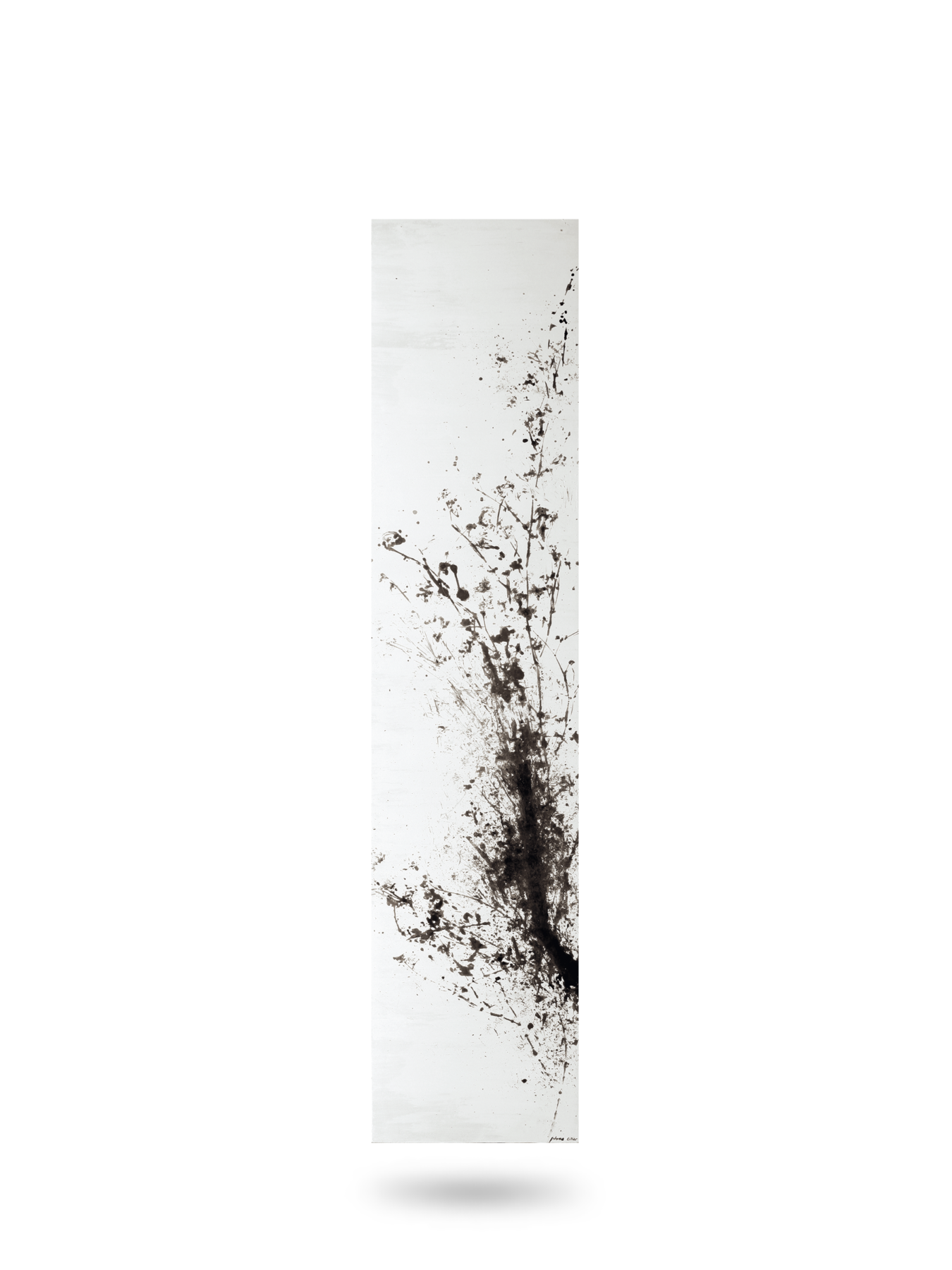 velvet-C-2400x1800-1350x1800-1.png