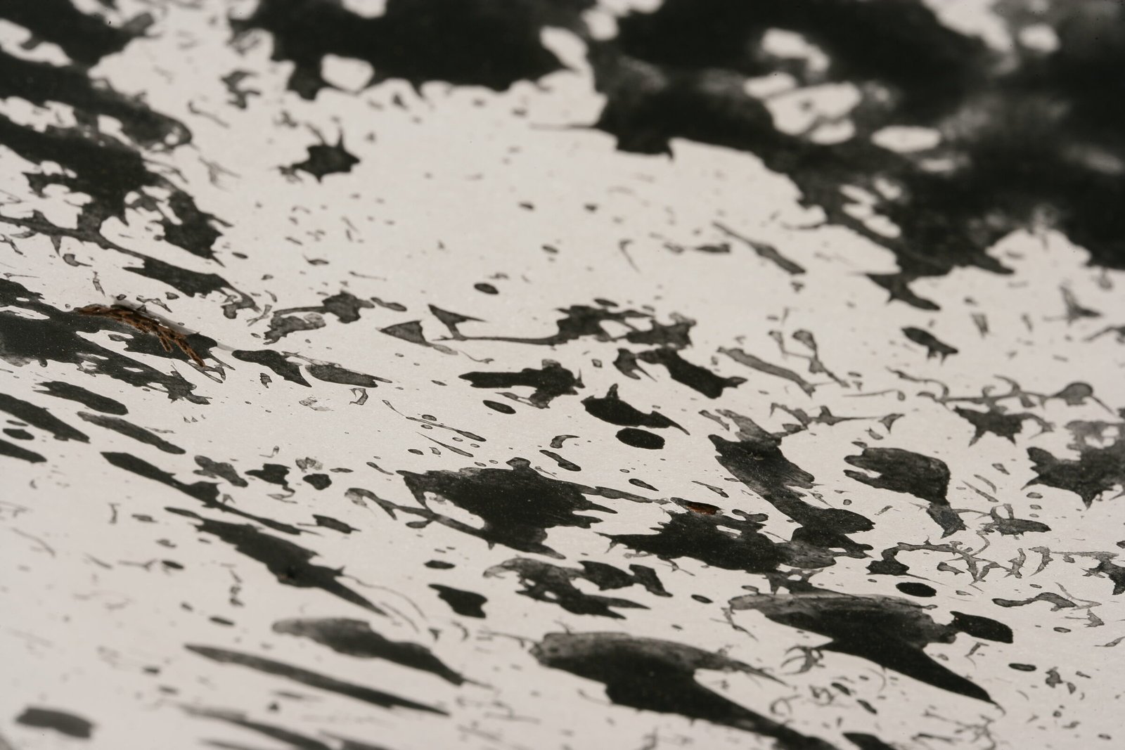 velvet-detail2-2400x1600-1.jpg